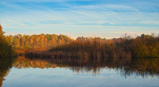 A scenic view of a lake reflecting autumn trees under a blue cloudy sky in Durbuy, Belgium