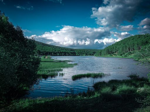 A scenic view of a lake surrounded by green forests under a blue cloudy sky