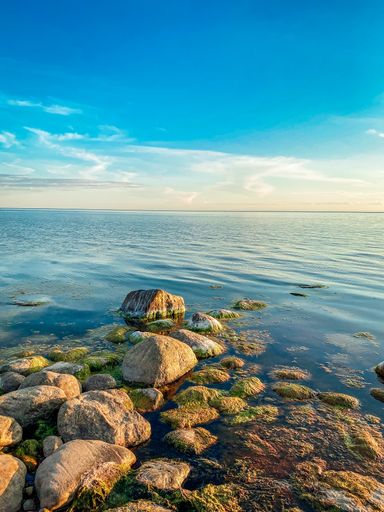 A vertical shot of a rocky seashore under blue sky