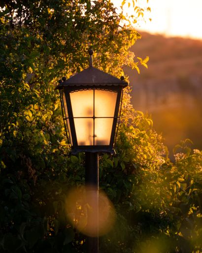 A vertical shot of a lamppost in a park during the golden hour in the evening