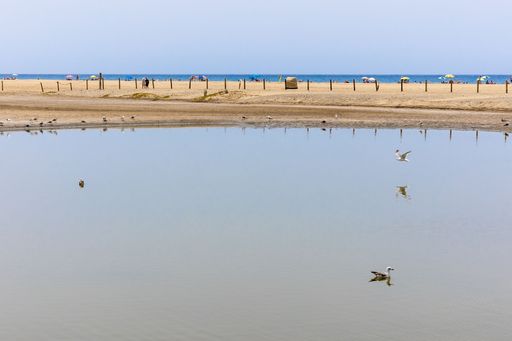 A water pond near the sandy beach on a sunny morning