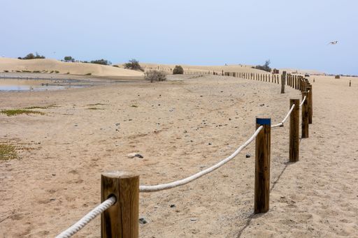 A log fence in a sandy shore on a sunny morning