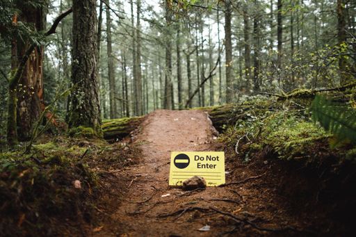A yellow do not enter sign on a forest trail