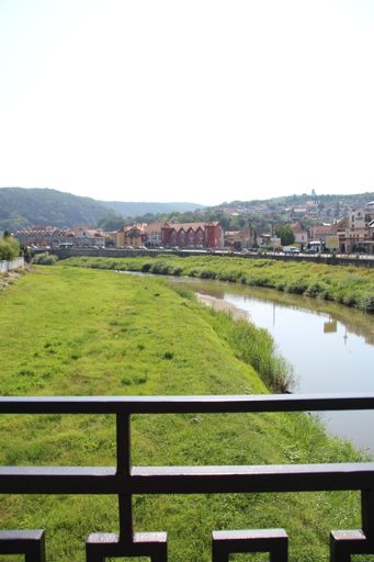 A vertical shot of a small village along one side of the river in summer