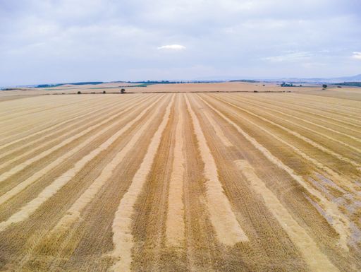 Aerial view in fields of Spain.Agriculture in  Europe.