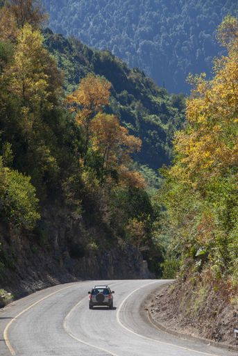 A vertical shot of a car driving on a road in the green mountain and hills during daylight
