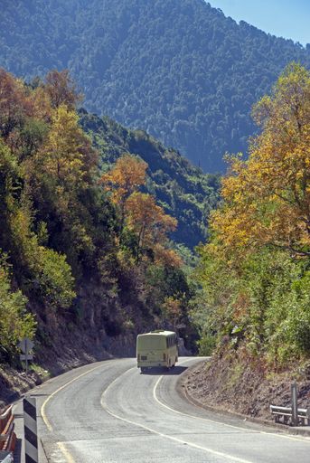 A vertical shot of a car driving on a road in the green mountain and hills during daylight