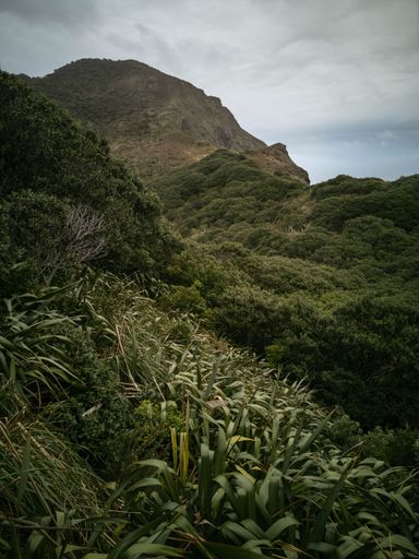 Hikurangi Takatu head mountain at Piha, gloomy winter day