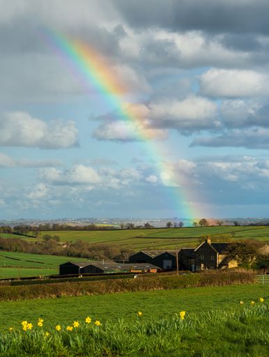 A vertical shot of wooden houses surrounded by cultivated fields under a rainbow on a sunny day