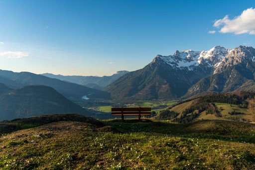 A scenic view of a bench against snowy mountains covered with green forests under a cloudy blue sky