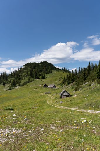 A view of old wooden houses in green hills
