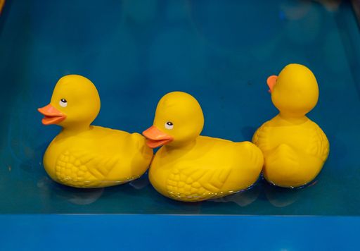 A closeup shot of bath ducks in the water