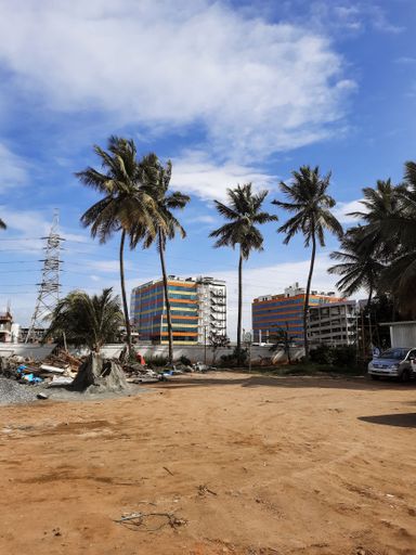 A vertical shot f empty dirt sandy beach with palm trees in the city