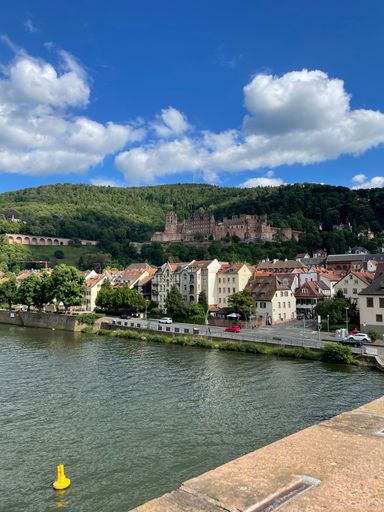 A vertical shot from the coast of a lake surrounded by a small village and green mountain range on a sunny day