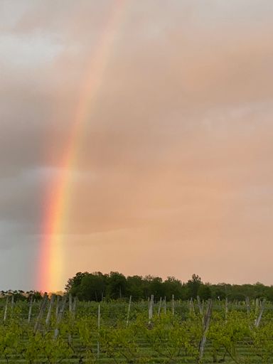 A vertical shot of a beautiful rainbow over a rural field
