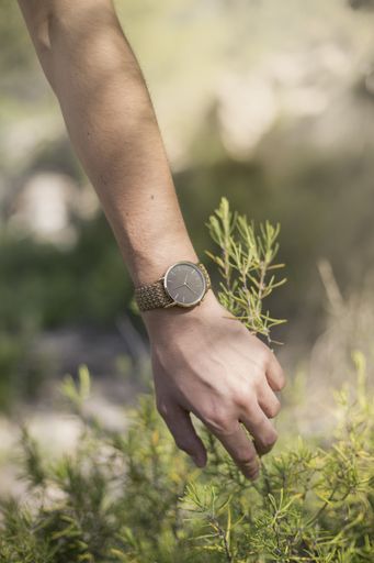 A vertical shot of the hand of a male with a watch picking a plant from the ground