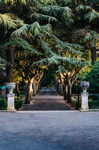 A beautiful shot of two concrete post and trees lined footpath through a park