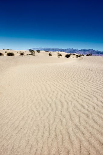 A sunny scenery of the Mesquite Flat Sand Dunes in Death Valley National Park, California - USA