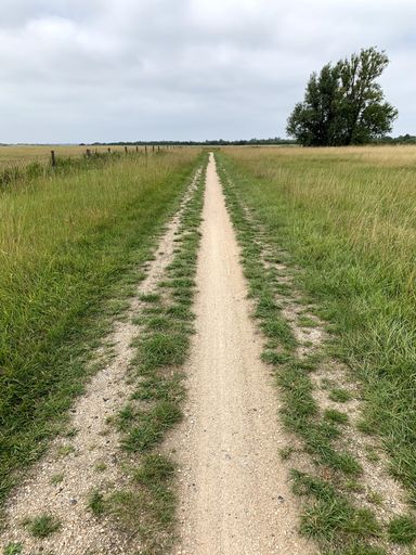 A vertical shot of a pathway in a meadow under a cloudy sky