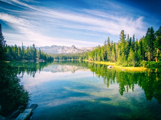 A panoramic shot of the Inyo National Forest Peterson in USA on thin clouds background