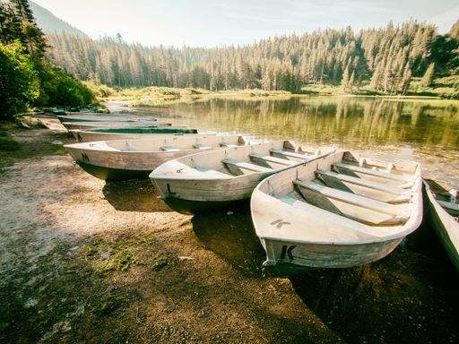A closeup shot of wooden boats on the shore of Mammoth Lakes in California, USA