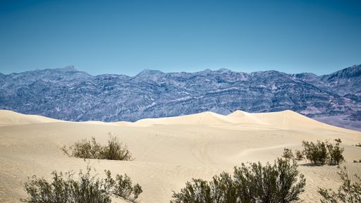 A sunny scenery of the Mesquite Flat Sand Dunes in Death Valley National Park, California - USA