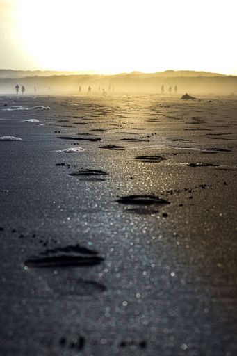 A vertical shot of footprints on the wet sand ground during a bright sunset