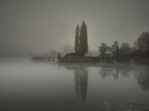 Lonely trees reflecting in the water on a dull foggy evening