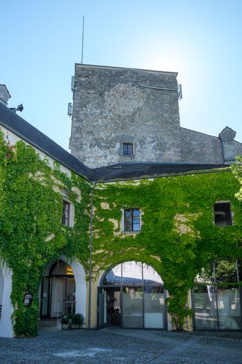 A vertical shot of a building with overgrown vine plant covering its walls