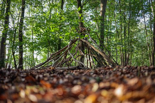 A shallow focus shot of a campfire built by long tree branches and logs surrounded by lush greenery in an autumnal forest