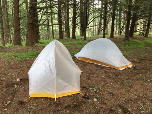 Two tents set up in the woods at Point Reyes National Seashore, California