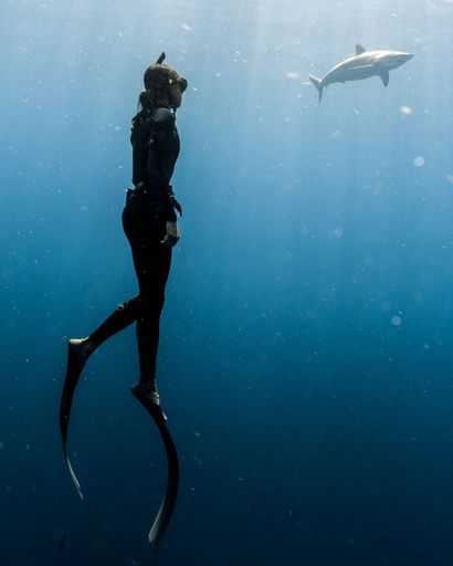 A vertical shot of a female diving  near a shark