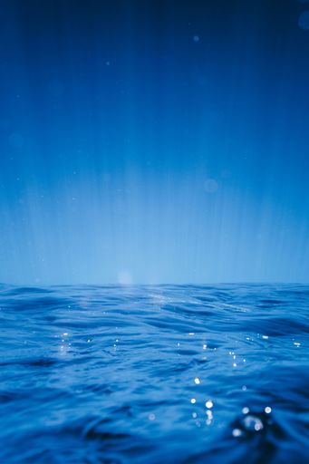 A vertical shot of an aesthetic view of underwater