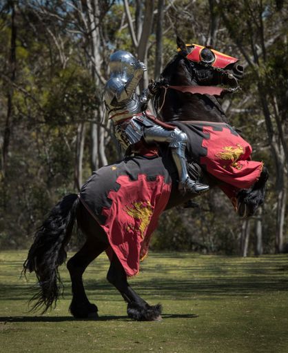 A knight on a black horse wearing black and red caparison