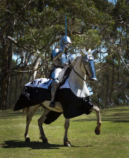 A knight on a black horse wearing black and white caparison