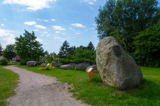 A sunny scenery of a narrow pathway in the nature