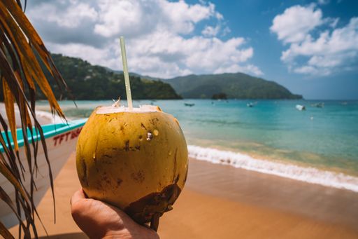 A person holding a coconut with a straw in the sandy beach