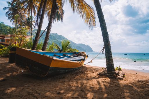 A wooden boat on the shore surrounded by palm trees and the sea under a blue cloudy sky