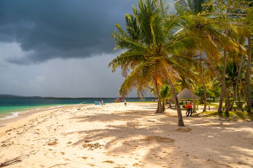 A landscape of a beach surrounded by palm trees and the sea under a stormy sky
