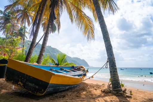 A wooden boat on the shore surrounded by palm trees and the sea under a blue cloudy sky