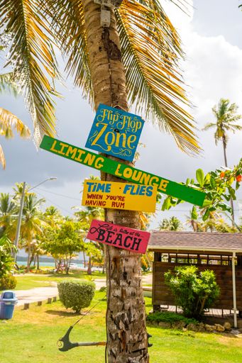 A vertical shot of fun beach signs on a coconut tree trunk