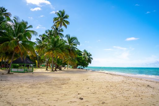 The ocean waves hitting the sandy beach and gleaming under the cloudy sky