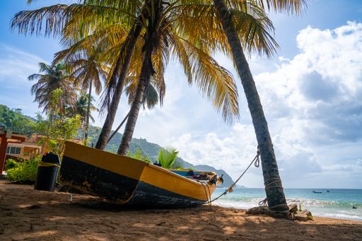 A wooden boat on the shore surrounded by palm trees and the sea under a blue cloudy sky