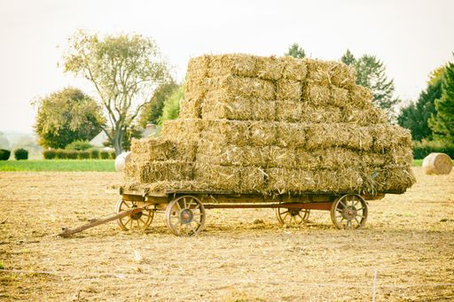 An old wagon full of hay in Lancaster, Pennsylvania, USA