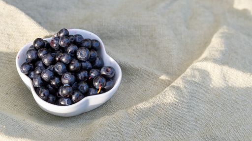 A high angle shot of fresh blueberries in a white bowl, on a cloth outdoors