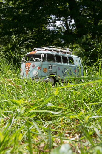 A closeup shot of a cute small hippy car toy in the grass