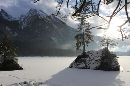 A landscape view of forest trees and mountains covered by snow on a sunny day