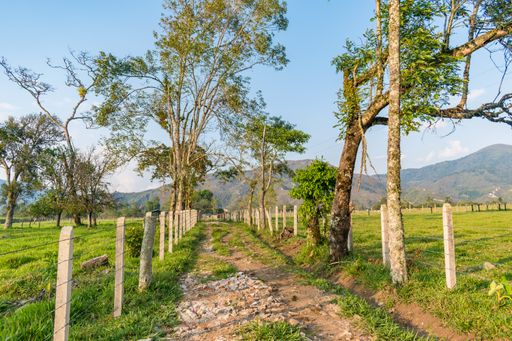 A landscape of a farm covered in greenery surrounded by fences and hills under the sunlight