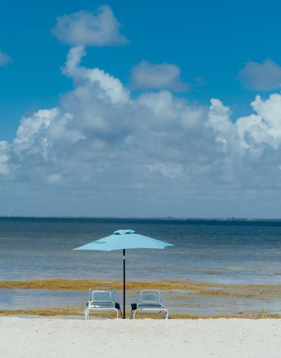 A vertical shot of the two sun loungers under the beach umbrella against the sea