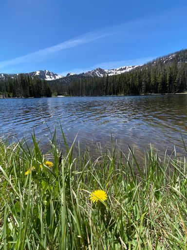 A vertical shot of a lake with a background of trees and mountains
